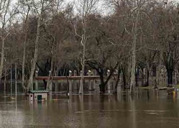 홍수 피해 주민 세금보고 기한 연장해준다