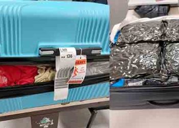 “캘리포니아, 영국 불법마리화나 주공급처”…LA 탑승객 2명 또 체포