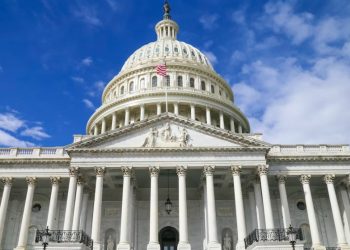 연방 예산 관리 여성 정치인들 독무대