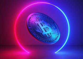 ‘정부 개입 완전 차단’ 새 암호화폐 나온다