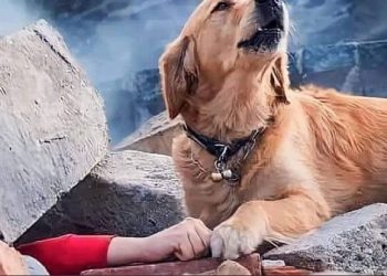 튀르키예·시리아 강진 사망자, 9638명…1만명 육박