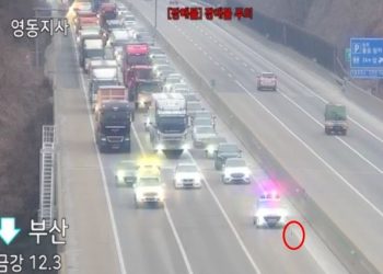 고속도로 유기견 살리려 운전자들 20분 기다렸다