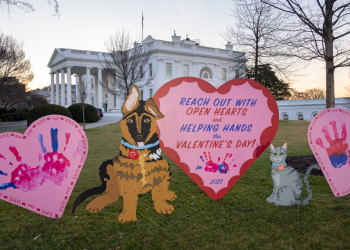 질 바이든의 발렌타인 데이 사랑 메시지