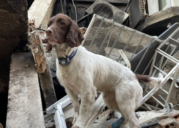 강진 198시간만 3명 기적생환…곳곳 구조종료