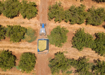 아르헨 농장서 한인 여성 목졸라 살해, 암매장..한인 36명 거주