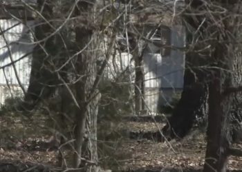 (2보)미시시피 주민 300명 시골마을서 총격, 6명 사망(영상)