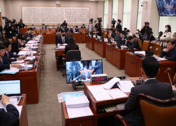 재외동포청 설치법, 법사위 통과…본회의 절차만 남아