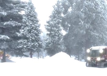 항공 5천여편 취소·외출자제령…눈폭풍 확대 최악기상상황(영상)