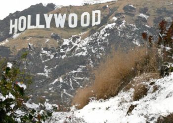 한인타운 곳곳 가로수∙표지판 부러지고 쓰러져