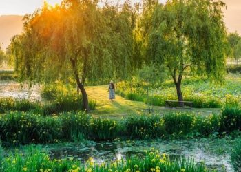 ‘꽃구경 가요’…경남 봄꽃 여행지 톱15