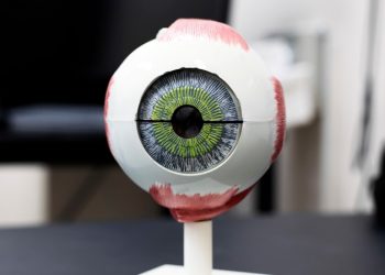 실명 원인 3위 ‘황반변성’..글씨가 구부러져 보여