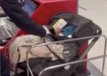 “자녀 항공권 구입하라”그러자 아이 두고 부모 떠나