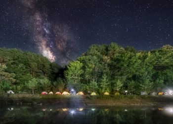 원주숲치료·해남캠핑카투어…관광공사, 6개 이을프로젝트 선정