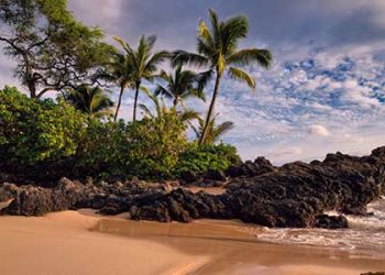 전국 최고 비치는 하와이 카나팔리…가주 최고는?