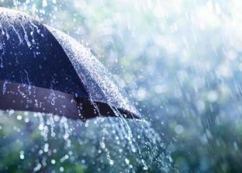 “이번 겨울폭풍 단단히 준비해야”..최악 정전사태 우려