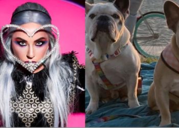 애완견 훔친 한인타운 여성, “현상금 150만달러 지급하라”소송