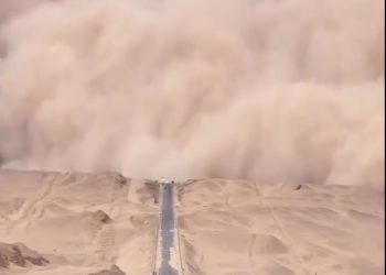 세계 인구 99%, 초미세먼지 위험 수준 노출(영상)