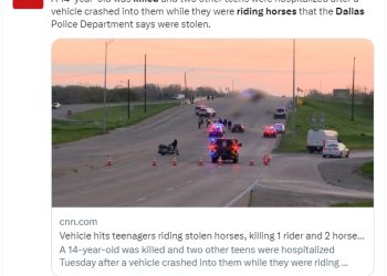 말 타고 프리웨이 질주 14살 소년 교통사고로 사망