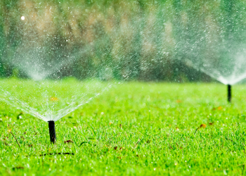 남가주 가뭄 해갈..야외 물사용 제한 해제