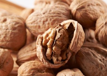 ‘식물성 오메가3’ 든 유일한 견과류는 호두…하루 적당량은?
