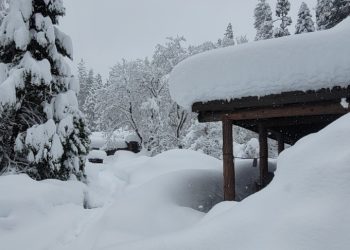 요세미티 국립공원, 3주 만에 제한적 입장허용