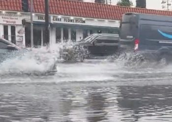 LA 130년만에 비 가장 많이 왔다..1893년 이후 최대(영상)