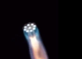 3D 프린터로 만든 로켓 ‘테란’, 발사 3분만에 실패(영상)