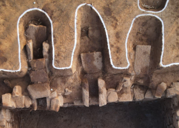 백제인 사용 냉장고 발견…딸기·포도·다래 흔적도