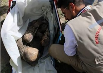 배달부 가방서 800년전 사망 남성 미라 발견