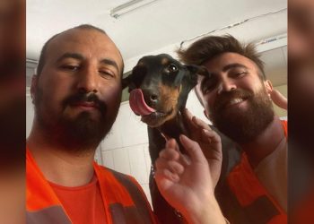 지진 28일만에 구조된 개… 고립중 새끼 3마리 낳아