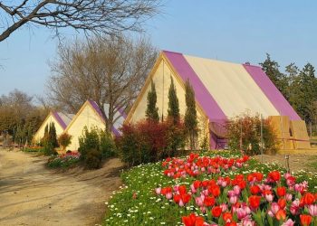 “순천만국가정원 하루 통째로 빌려드려요”…예약 폭주