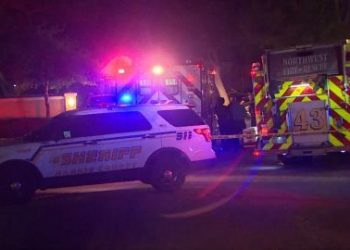 방에서 총 만지던 3살 유아, 4살 언니 쏴 죽여