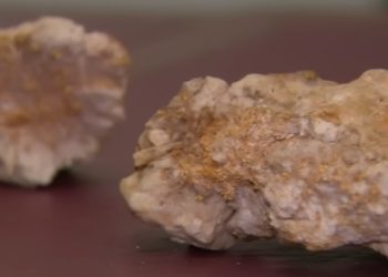 금속 탐지기로 16만달러 금 바위 발견