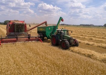 식량가격 떨어지는 데 왜 설탕만 가격 오르나…설탕 나 홀로 상승