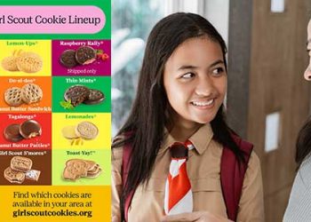 쿠키 제조 지연에 걸스카웃 기금모금 행사 차질