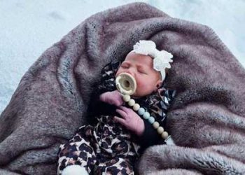 눈폭풍 속 새생명 탄생의 감격..레이크 애로우헤드