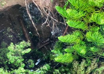 카마리오 주택가에 30피트 대형싱크홀