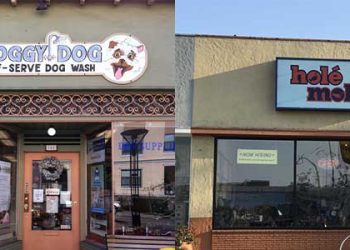 다시 고개 드는 떼강도들..롱비치서도 25개 업소들 털려