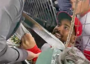 개막 하자마다 추태..관중 멱살 잡이 앤서니 랜든