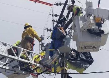“아찔” 전신주에 추락한 스카이다이버