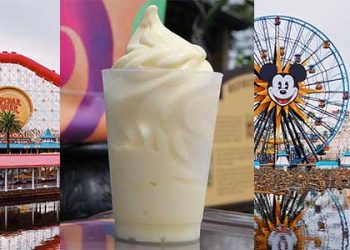 디즈니랜드 아이스크림 밖에서도 판매