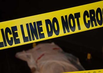 OC서 30대 딸이 70대 친엄마 칼로 찔러 살해