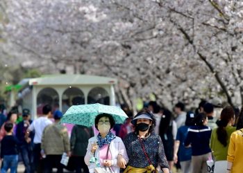 [지금 한국가면] 순천정원박람회 개장 인산인해