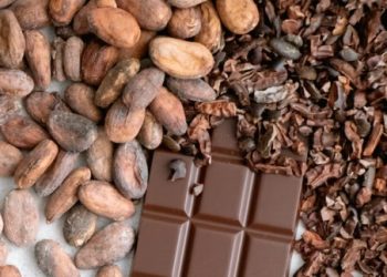 ‘이것’ 일주일 먹었더니…나쁜 콜레스테롤 뚝