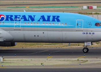 대한항공 직원 도끼 난동 사건…이유 알고 보니