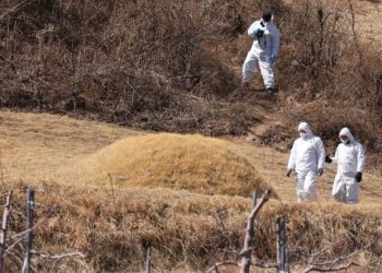 ‘묘소훼손’ 이재명 헛발질..”문중서 기(氣) 보충의식”