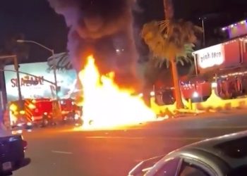 할리웃 테슬라 화재 사망 여성은 30대 한인..차에 갇힌 채 숨져