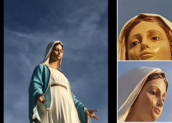 ‘피 흘리는 성모상 기적’ 돼지 피였다.(영상)