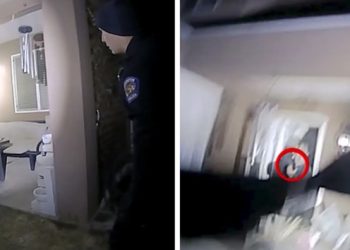 주소 착각 출동한 경찰, 엉뚱한 이웃남성과 총격전 사망(영상)