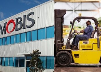 현대차 계열 조지아 공장 직원 지게차 치여 사망